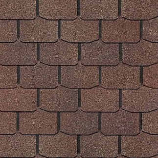 Цюрих Арахис