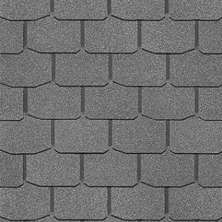 Цюрих Черника