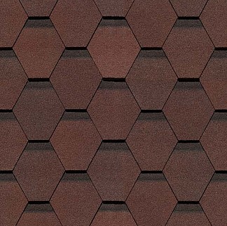 Кельн Зрелый каштан