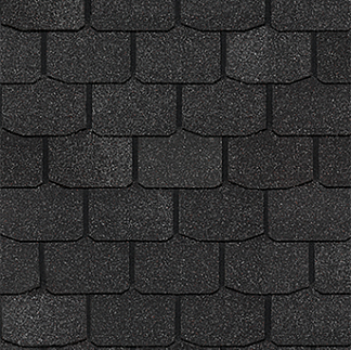 Цюрих Ежевика